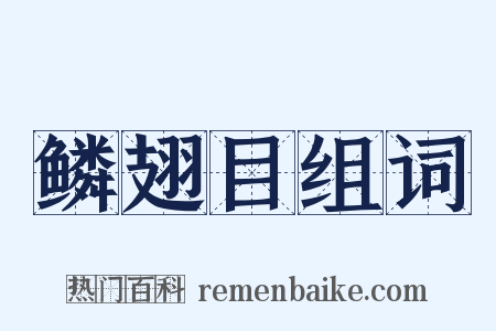 鳞翅目组词是什么意思的图片